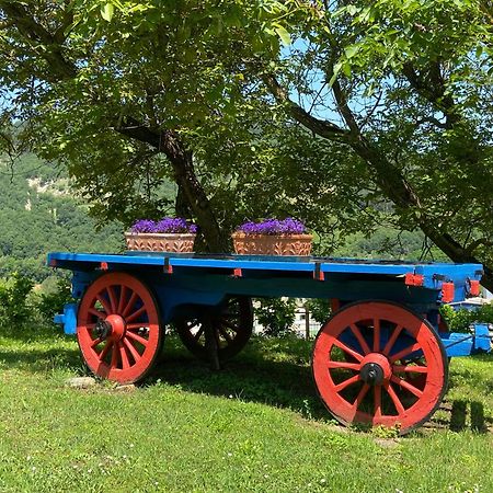 Agriturismo Popolano Di Sotto Marradi Dış mekan fotoğraf