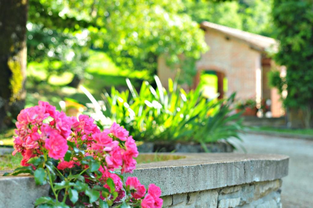 Agriturismo Popolano Di Sotto Marradi Dış mekan fotoğraf