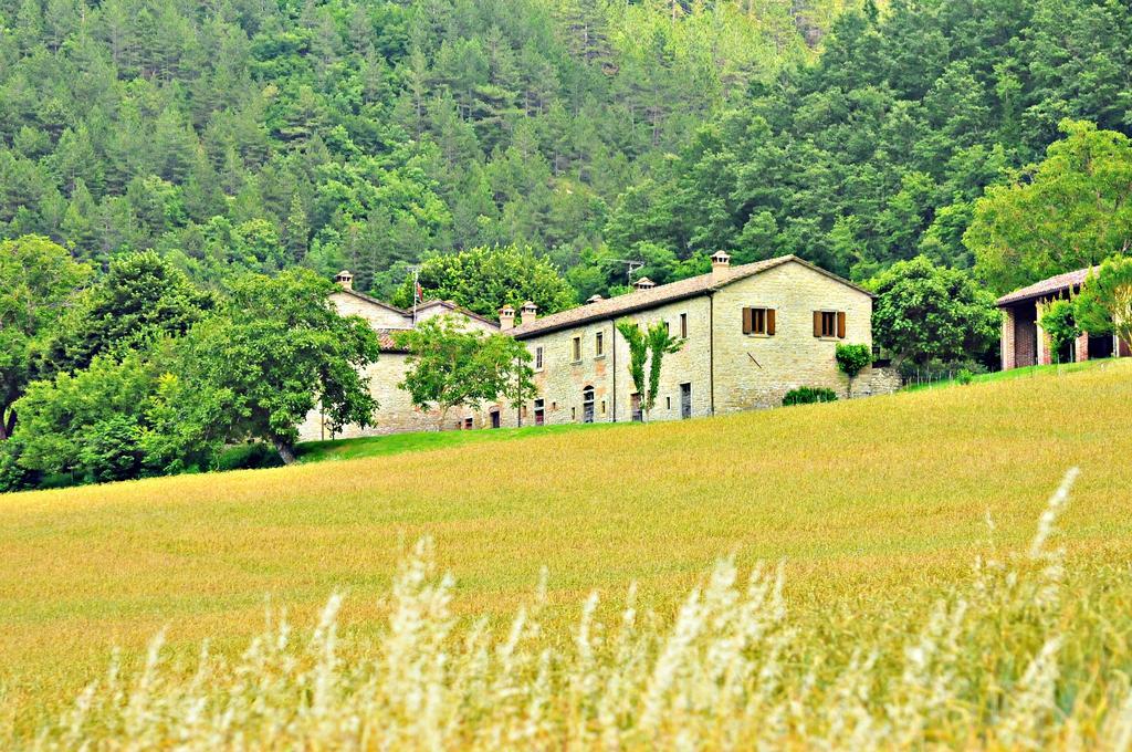 Agriturismo Popolano Di Sotto Marradi Dış mekan fotoğraf