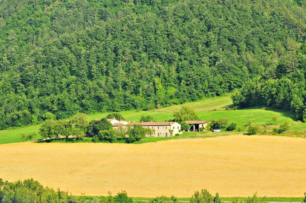 Agriturismo Popolano Di Sotto Marradi Dış mekan fotoğraf