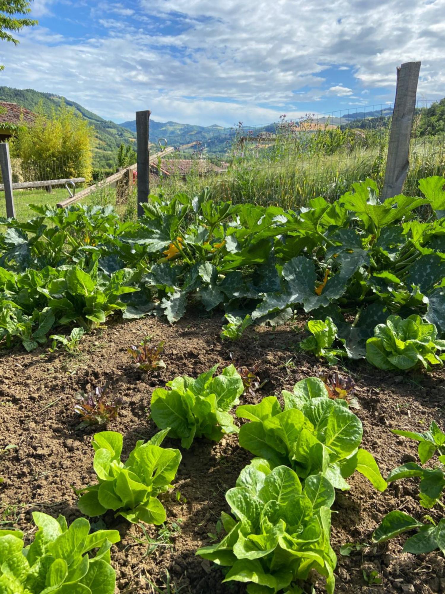Agriturismo Popolano Di Sotto Marradi Dış mekan fotoğraf