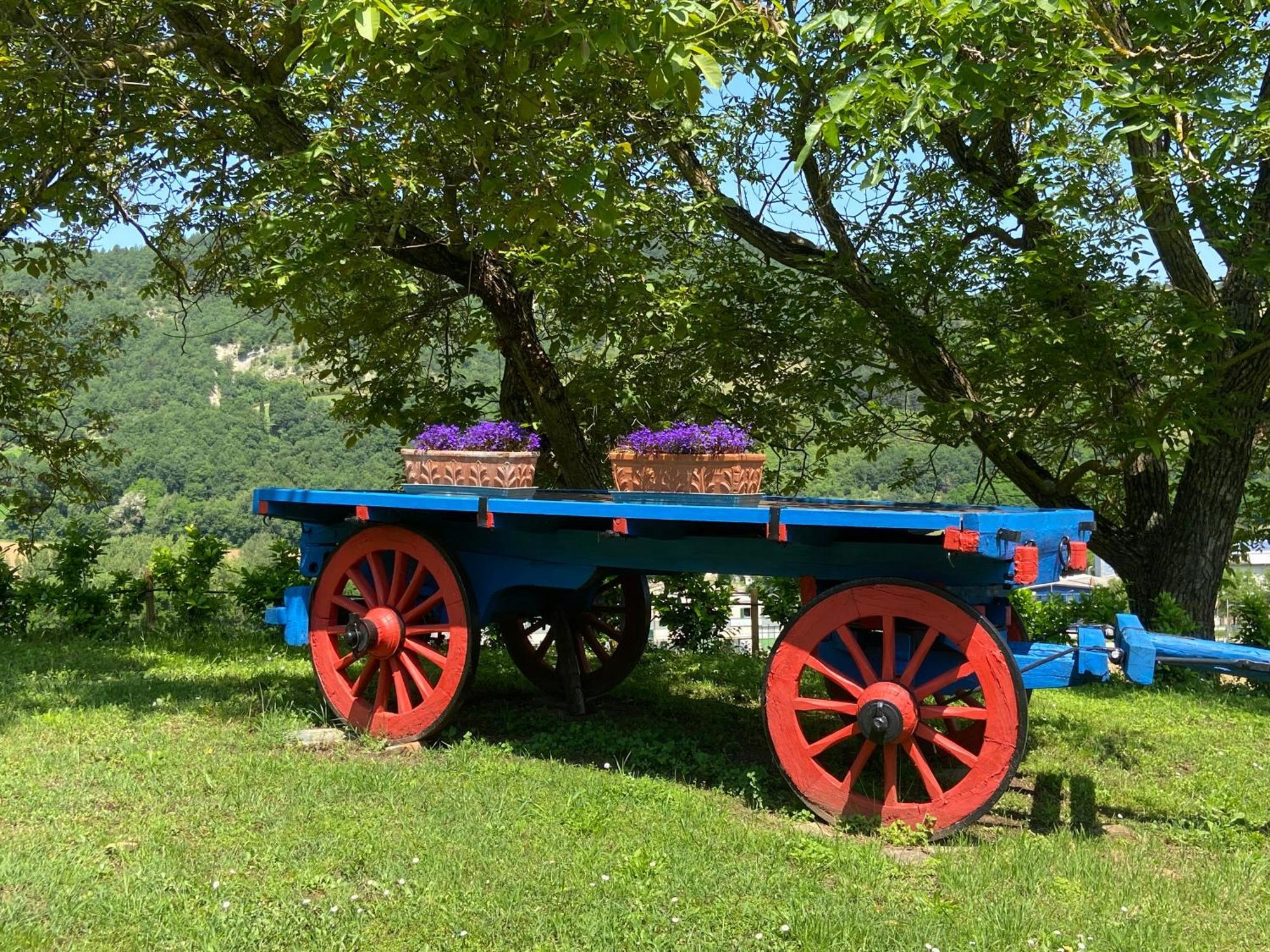 Agriturismo Popolano Di Sotto Marradi Dış mekan fotoğraf