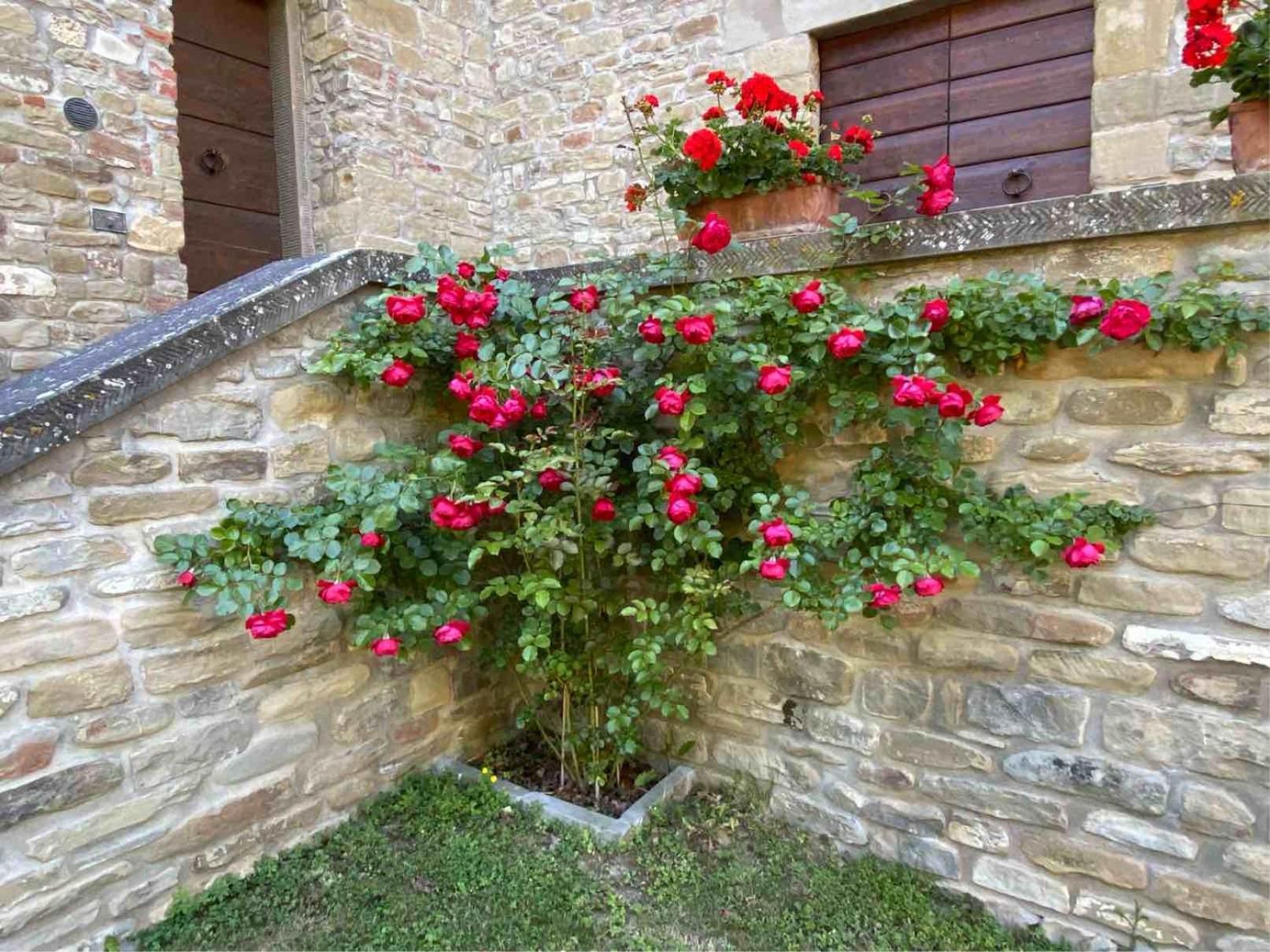 Agriturismo Popolano Di Sotto Marradi Dış mekan fotoğraf