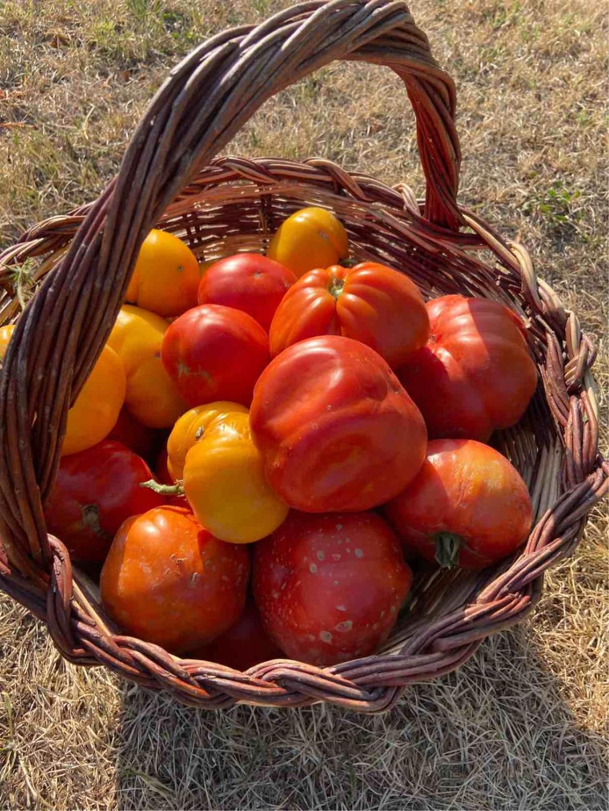 Agriturismo Popolano Di Sotto Marradi Dış mekan fotoğraf