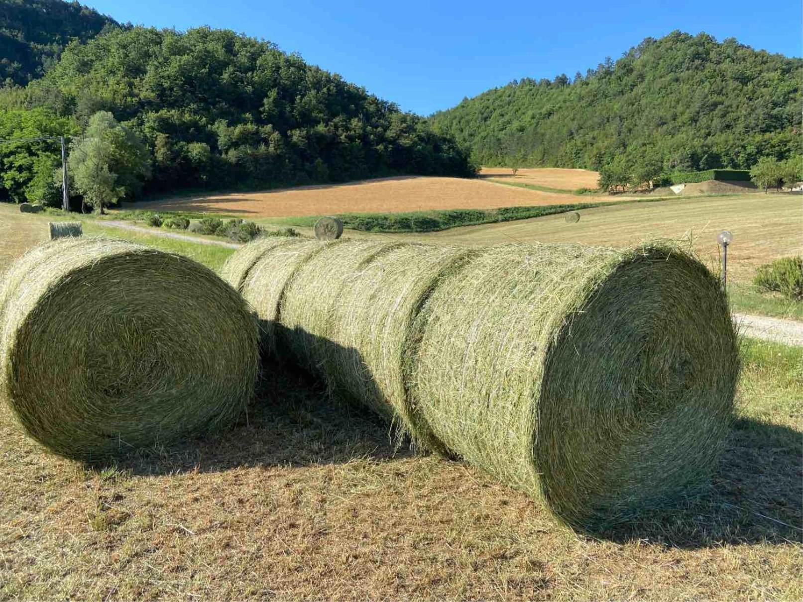 Agriturismo Popolano Di Sotto Marradi Dış mekan fotoğraf