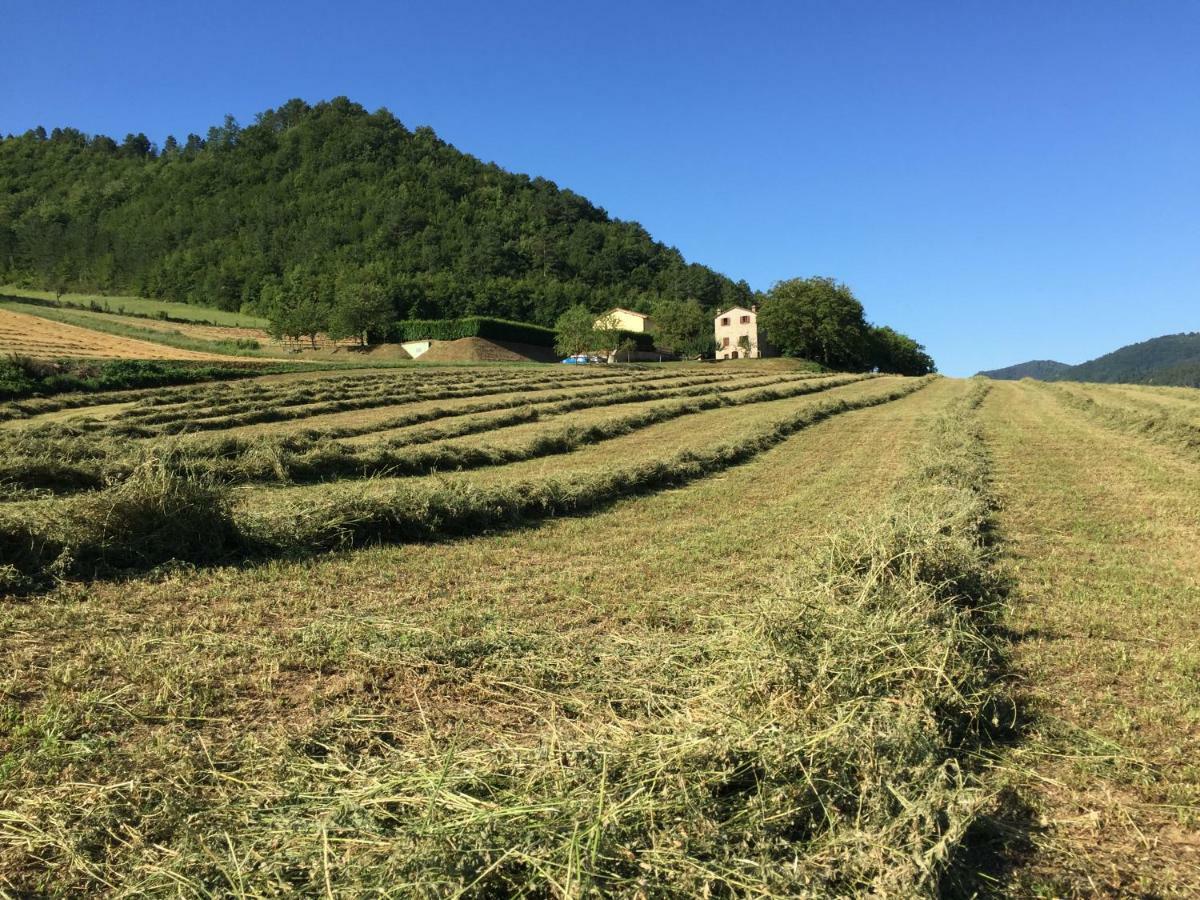 Agriturismo Popolano Di Sotto Marradi Dış mekan fotoğraf